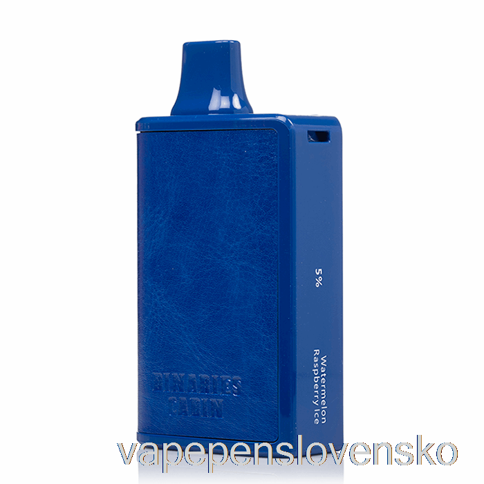 Horizont Binaries Kabína 10000 Jednorazový Vodný Melón Malina ľadová Cigareta